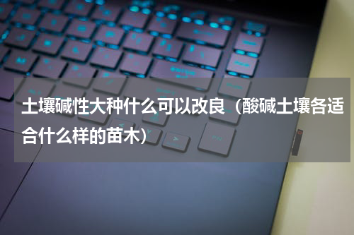 土壤碱性大种什么可以改良（酸碱土壤各适合什么样的苗木）
