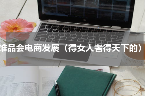 唯品会电商发展（得女人者得天下的）
