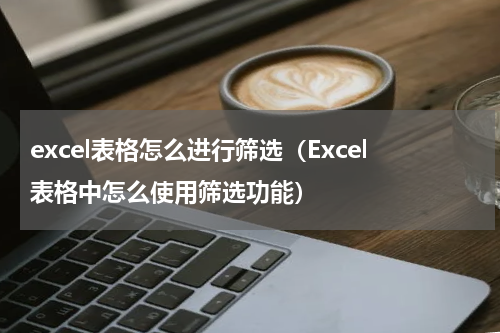 excel表格怎么进行筛选（Excel表格中怎么使用筛选功能）