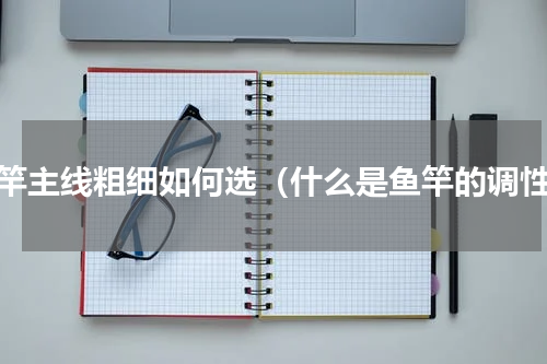 鱼竿主线粗细如何选（什么是鱼竿的调性）