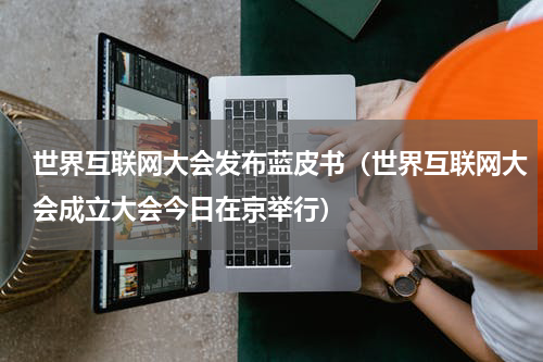 世界互联网大会发布蓝皮书（世界互联网大会成立大会今日在京举行）
