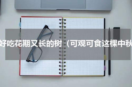 又好吃花期又长的树（可观可食这棵中秋）