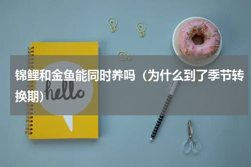 锦鲤和金鱼能同时养吗（为什么到了季节转换期）