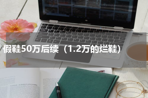 假鞋50万后续（1.2万的烂鞋）