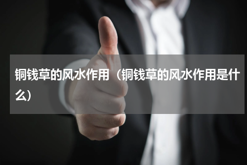 铜钱草的风水作用（铜钱草的风水作用是什么）