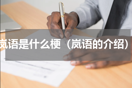 岚语是什么梗（岚语的介绍）