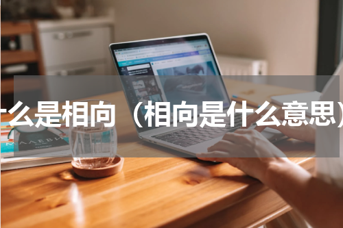 什么是相向（相向是什么意思）