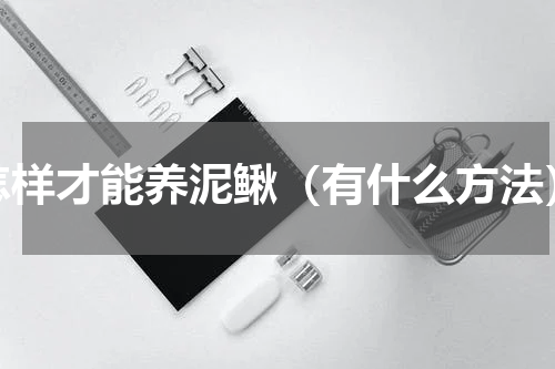 怎样才能养泥鳅（有什么方法）