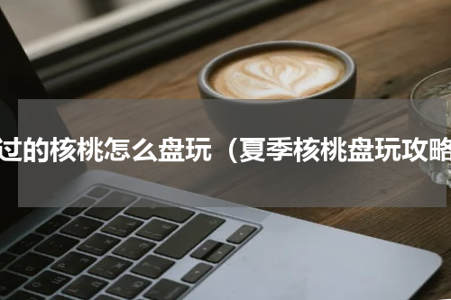 修过的核桃怎么盘玩（夏季核桃盘玩攻略）