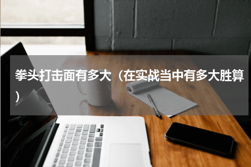 拳头打击面有多大（在实战当中有多大胜算）