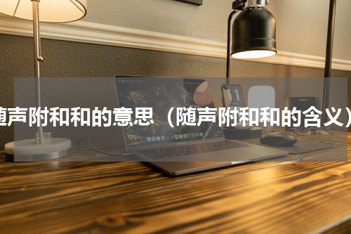 随声附和和的意思（随声附和和的含义）