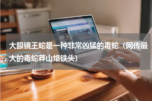 大眼镜王蛇是一种非常凶猛的毒蛇（网传最大的毒蛇莽山烙铁头）