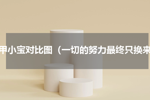 铁甲小宝对比图（一切的努力最终只换来）