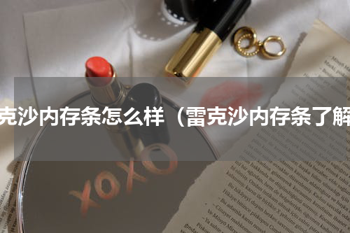 雷克沙内存条怎么样（雷克沙内存条了解）