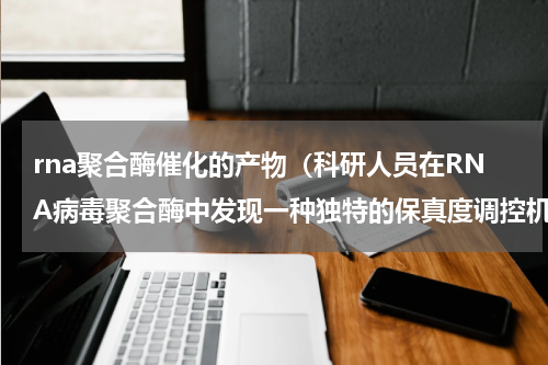 rna聚合酶催化的产物（科研人员在RNA病毒聚合酶中发现一种独特的保真度调控机制）