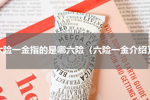 六险一金指的是哪六险（六险一金介绍）