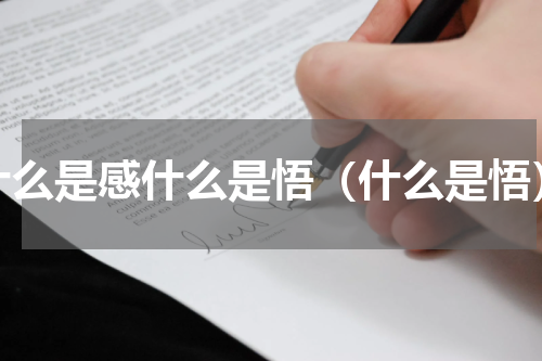 什么是感什么是悟（什么是悟）