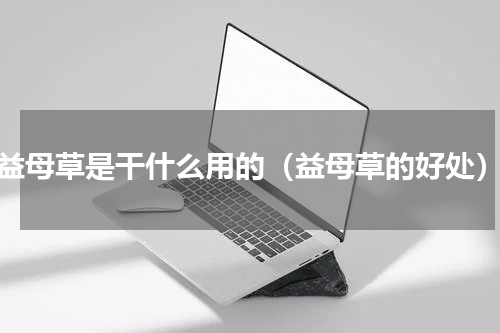 益母草是干什么用的（益母草的好处）