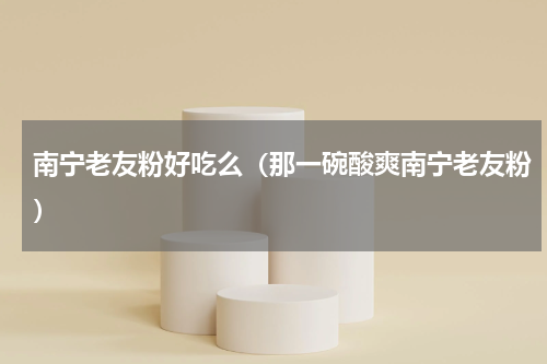 南宁老友粉好吃么（那一碗酸爽南宁老友粉）