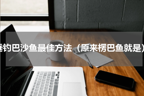 垂钓巴沙鱼最佳方法（原来楞巴鱼就是）