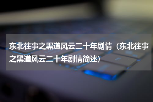 东北往事之黑道风云二十年剧情（东北往事之黑道风云二十年剧情简述）