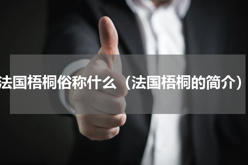 法国梧桐俗称什么（法国梧桐的简介）