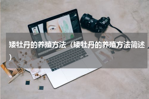 矮牡丹的养殖方法（矮牡丹的养殖方法简述）