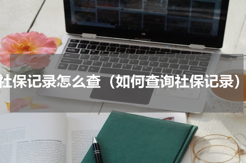 社保记录怎么查（如何查询社保记录）