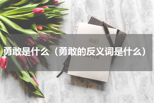 勇敢是什么（勇敢的反义词是什么）