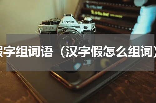 假字组词语（汉字假怎么组词）