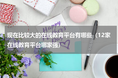 现在比较大的在线教育平台有哪些（12家在线教育平台哪家强）