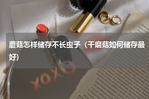 蘑菇怎样储存不长虫子（干磨菇如何储存最好）