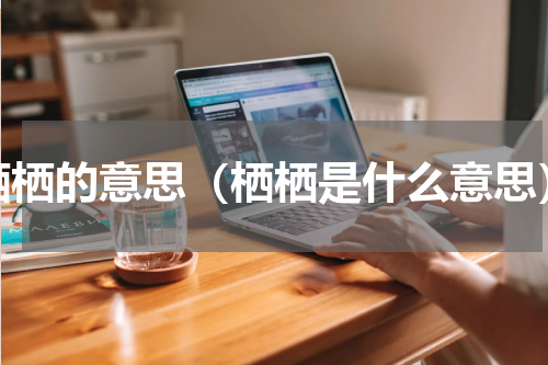 栖栖的意思（栖栖是什么意思）