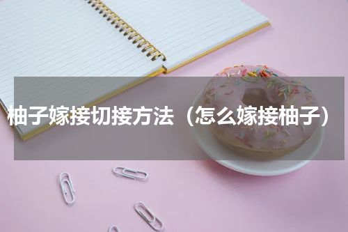 柚子嫁接切接方法（怎么嫁接柚子）