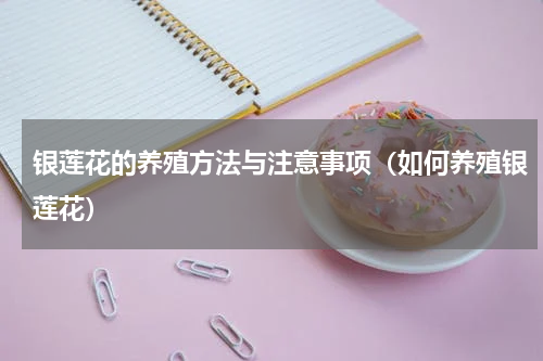 银莲花的养殖方法与注意事项（如何养殖银莲花）