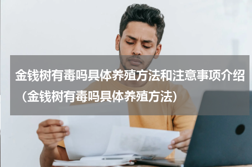 金钱树有毒吗具体养殖方法和注意事项介绍（金钱树有毒吗具体养殖方法）