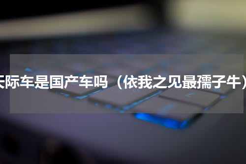 天际车是国产车吗（依我之见最孺子牛）
