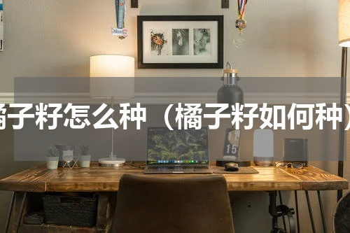 橘子籽怎么种（橘子籽如何种）