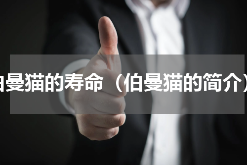 伯曼猫的寿命（伯曼猫的简介）