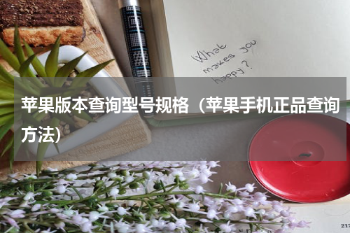 苹果版本查询型号规格（苹果手机正品查询方法）