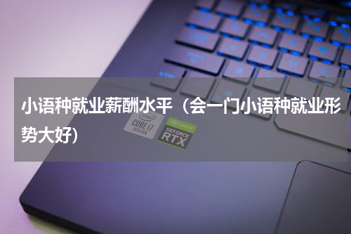 小语种就业薪酬水平（会一门小语种就业形势大好）
