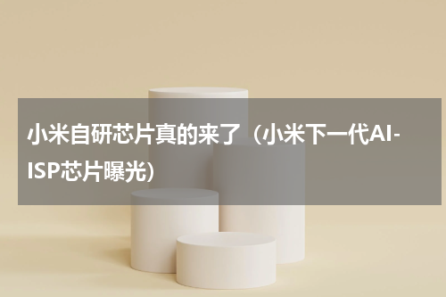 小米自研芯片真的来了（小米下一代AI-ISP芯片曝光）