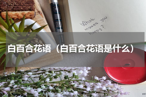 白百合花语（白百合花语是什么）