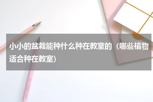 小小的盆栽能种什么种在教室的（哪些植物适合种在教室）