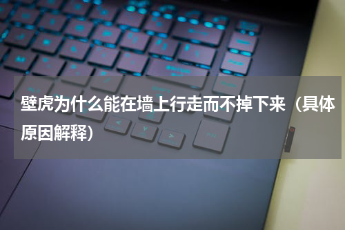 壁虎为什么能在墙上行走而不掉下来（具体原因解释）