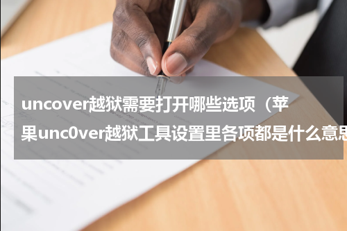 uncover越狱需要打开哪些选项（苹果unc0ver越狱工具设置里各项都是什么意思）