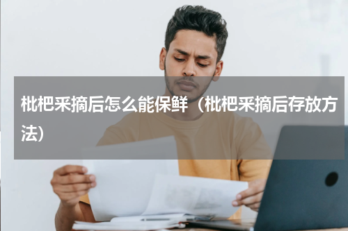 枇杷釆摘后怎么能保鲜（枇杷釆摘后存放方法）