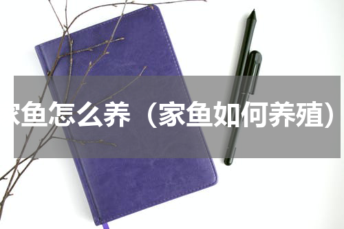 家鱼怎么养（家鱼如何养殖）