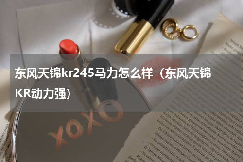 东风天锦kr245马力怎么样（东风天锦KR动力强）