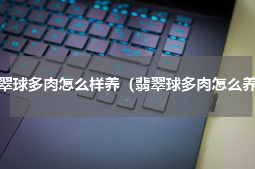 翡翠球多肉怎么样养（翡翠球多肉怎么养）